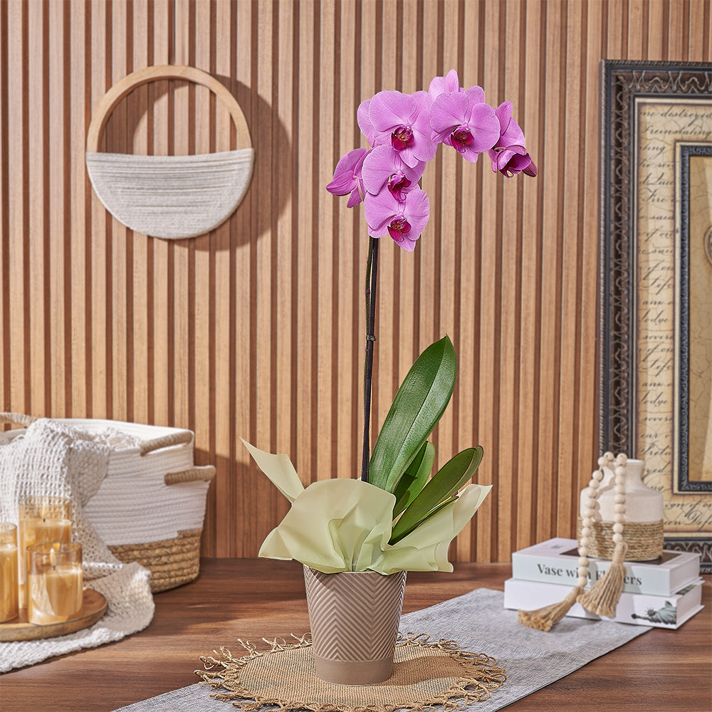 Pink Orchid Plant in Ceramic Pot – how the gift is presented