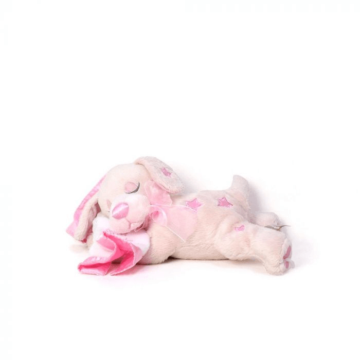 Welcome Newborn Baby Girl Gift Basket From America Baskets - Baby Gift Set - America Delivery