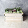 Amesbury Succulent Crate From America Baskets - Planter Gift Set - America Delivery.