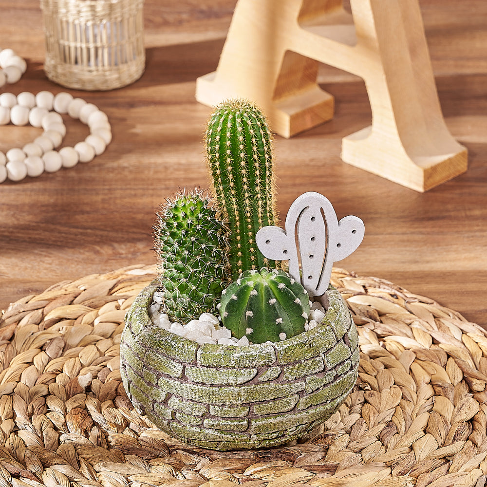 Easy-Care Cactus in Brick Pot – how the gift is presented