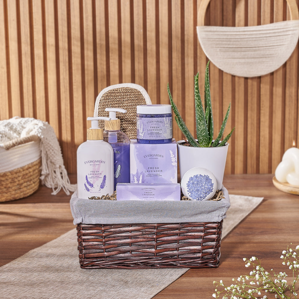 Natural Beauty Succulent &amp; Spa Gift Set – Spa gift baskets – America delivery