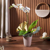 Pearl Essence Exotic Orchid Plant, plant gift, plant, flower gift, flower, orchid gift, orchid, America delivery