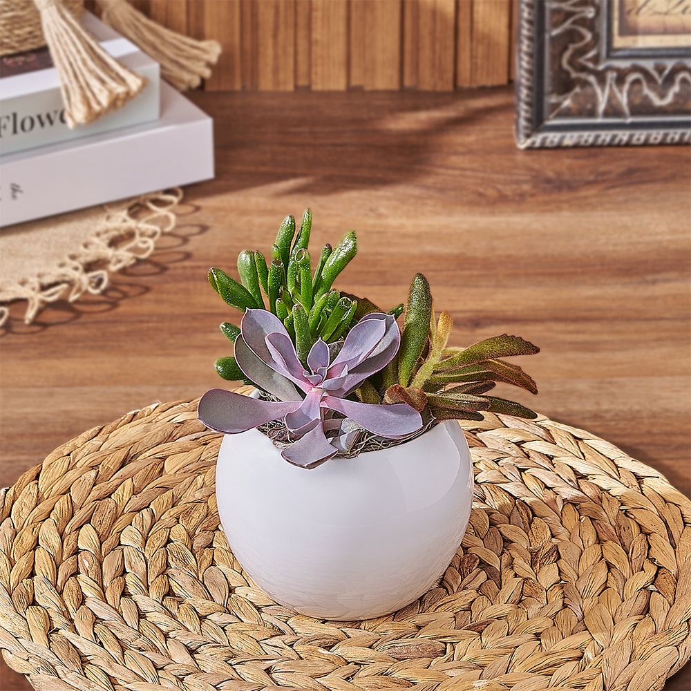 Succulent Plant Round Planter – how the gift is presented
