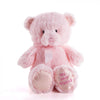 Pink Best Friend Baby Plush Bear from America Baskets - Plush Gift - America Delivery.