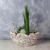 St. Lawrence Potted Succulent Garden From America Baskets - Planter Gift - America Delivery.