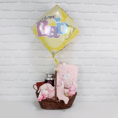 Welcome Newborn Baby Girl Gift Basket From America Baskets - Baby Gift Set - America Delivery.