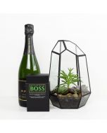 Reasons To Celebrate Plant & Champagne Gift