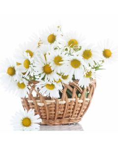 Forever Young Daisy Basket