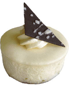 Mini Vanilla Cheesecake